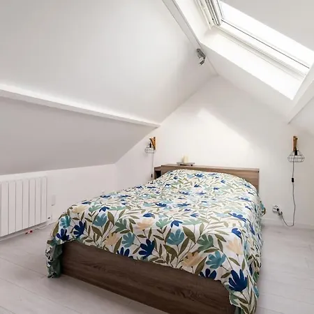 Maison Proche Disneyland , Parc Des Felins Et Coulommiers Holiday home *