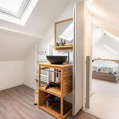Maison Proche Disneyland , Parc Des Felins Et Coulommiers Holiday home